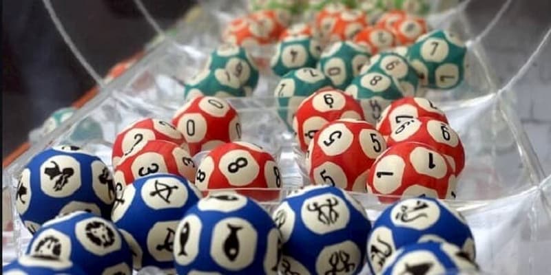 Tại sao nên chọn Đề ba càng tại EE88